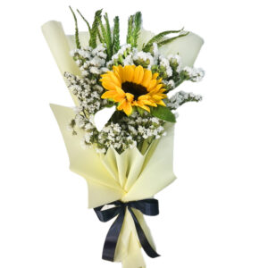 1 GIRASOL
