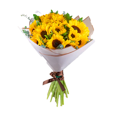 BOUQUET DE 12 GIRASOLES NATURALES