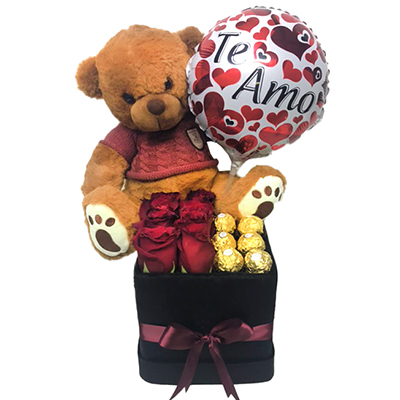 REGALO "TEDDY BOX"